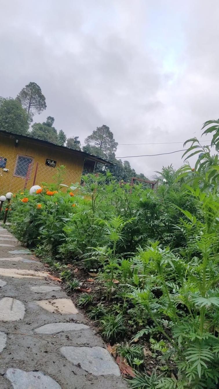 Krishna Kutir, Talla Ramgarh By The Meditating Society מראה חיצוני תמונה